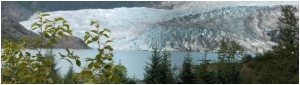 Mendenhall Glacier from a footpath (August 2003)